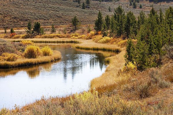 Jones, Adam 아티스트의 Autumn view of Gardiner River-Yellowstone National Park-Wyoming작품입니다.